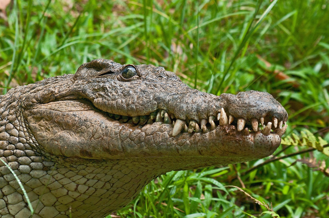 Selous Game Reserve: 3-Days Wildlife Safari with Boat Trip safari